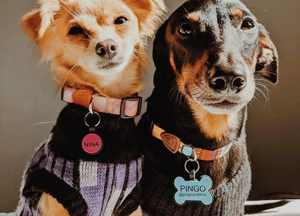 Chapita Identificatoria Hueso De Silicona Para Mascotas
