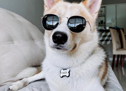 Chapita Identificatoria Hueso De Silicona Para Mascotas
