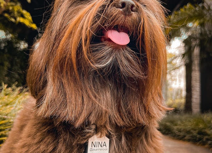 Chapita Identificatoria Hexagono De Silicona Para Mascotas