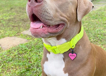 Chapita Identificatoria Corazón De Silicona Para Mascotas