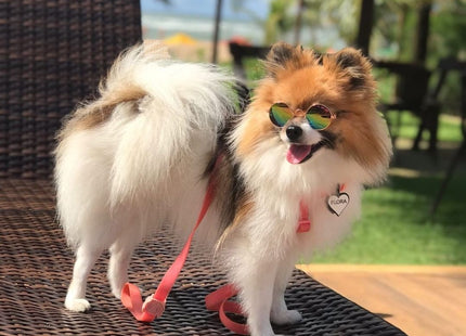Chapita Identificatoria Corazón De Silicona Para Mascotas