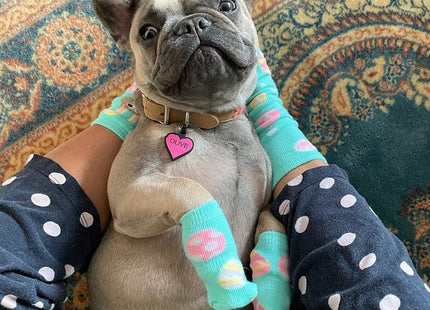 Chapita Identificatoria Corazón De Silicona Para Mascotas