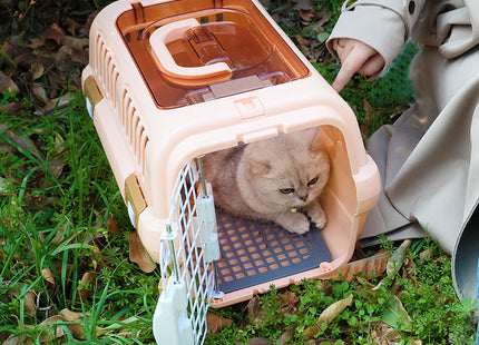 Transportadora Plástica Para Mascotas