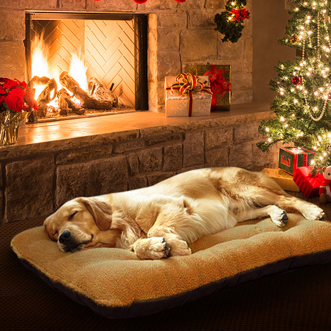 Cama Para Mascotas - Funda Extraíble Y Lavable