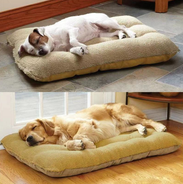 Cama Para Mascotas - Funda Extraíble Y Lavable