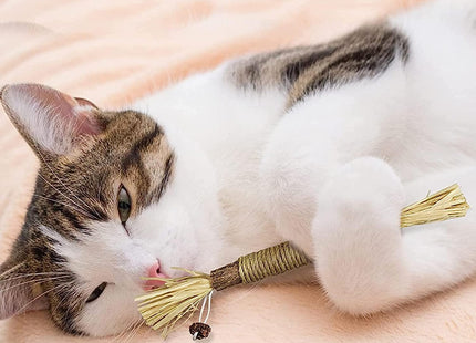 Juguete Palito Snack Natural Para Gato