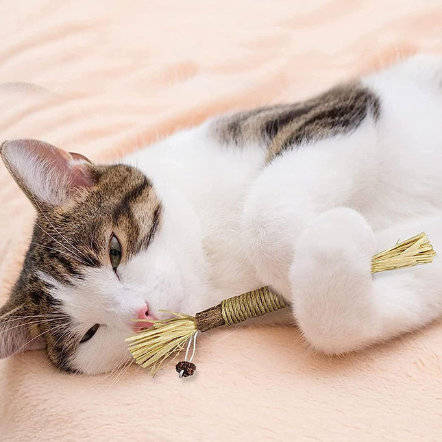 Juguete Palito Snack Natural Para Gato