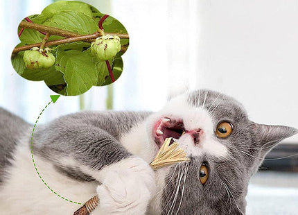 Juguete Palito Snack Natural Para Gato