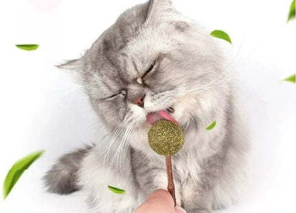 Juguete Para Gato Palito Snack De Hierba Gatera