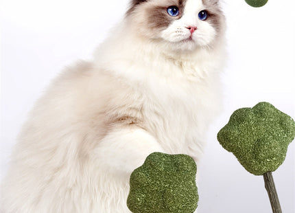 Juguete Para Gato Palito Snack De Hierba Gatera