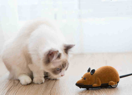 Juguete Para Gato Ratón A Control Remoto