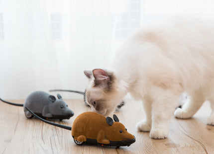 Juguete Para Gato Ratón A Control Remoto
