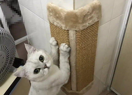 Juguete Gato Rascador Para Amurar