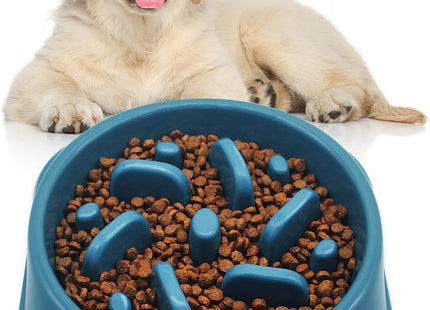 Plato Come lento Para Perro