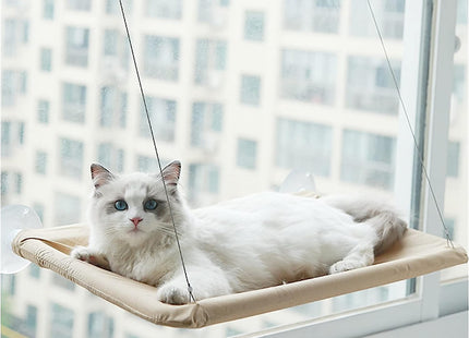 Cucha Cama Gato Aérea Mascotas Para Ventana Ventosa Cómoda