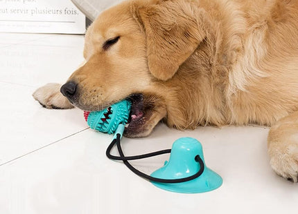 Juguete para perro con ventosa y dispensador de comida