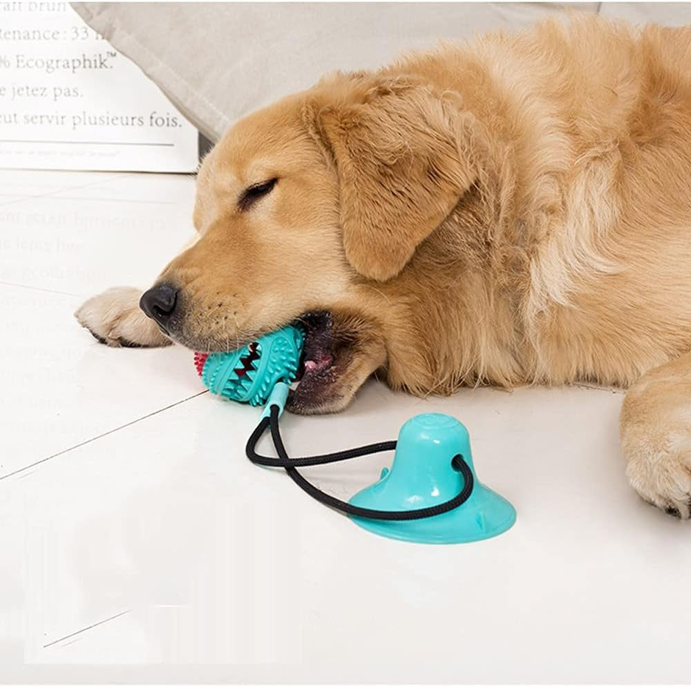 Juguete para perro con ventosa y dispensador de comida – Mundo Peludo