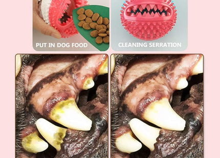 Juguete para perro con ventosa y dispensador de comida