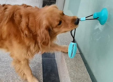 Juguete para perro con ventosa y dispensador de comida