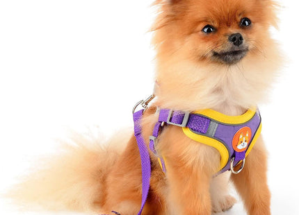 Conjunto pechera y correa para perro o gato