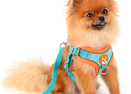 Conjunto pechera y correa para perro o gato