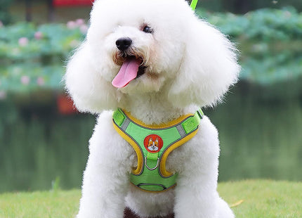 Conjunto pechera y correa para perro o gato