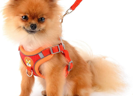Conjunto pechera y correa para perro o gato