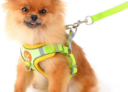 Conjunto pechera y correa para perro o gato