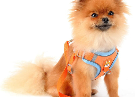Conjunto pechera y correa para perro o gato