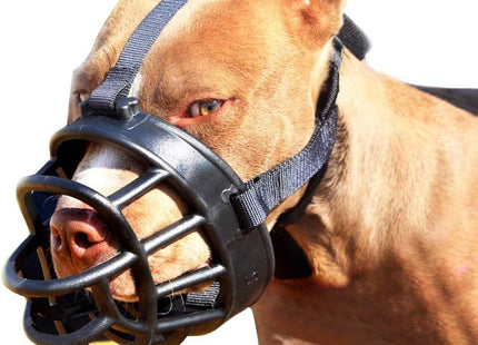 Bozal De Goma Para Perro Varios Tamaños