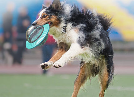 Juguete Para Perro Platillo Volador Con Dispensador De Comida