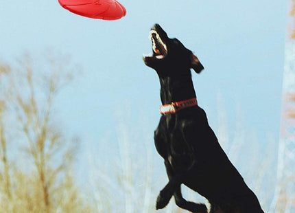 Juguete Para Perro Disco Frisbee De Goma
