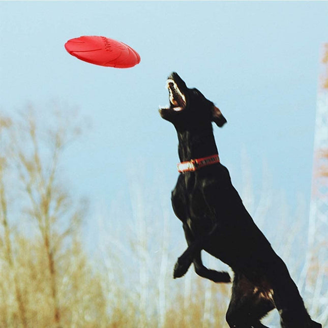 Juguete Para Perro Disco Frisbee De Goma