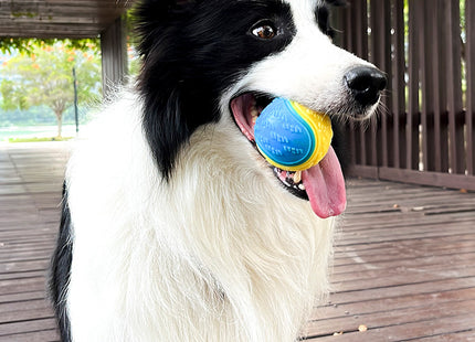 Pelota De Goma Para Perro
