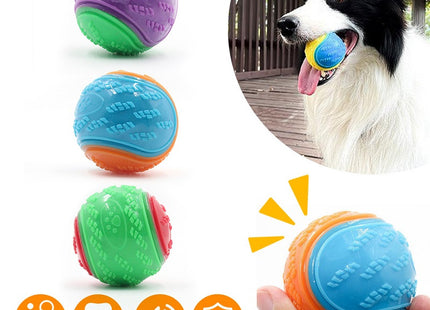 Pelota De Goma Para Perro