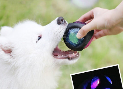 Pelota Para Perro Con Luz Y Sonido