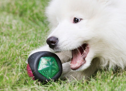 Pelota Para Perro Con Luz Y Sonido