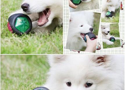 Pelota Para Perro Con Luz Y Sonido