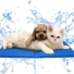 Collection image for: Verano 2025