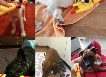 Juguete Para Perro Pollo Con Sonido