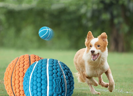Pelota De Goma Para Perro 6.5 CM