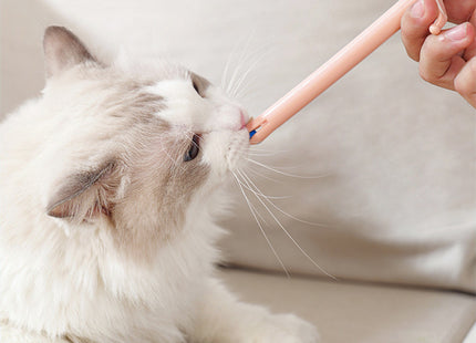 Aplicador de Medicamentos para Mascotas 💊🐶🐱