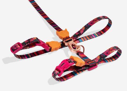 Correa + arnés para gato Zeecat Selva