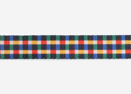 Collar Zeedog Travis