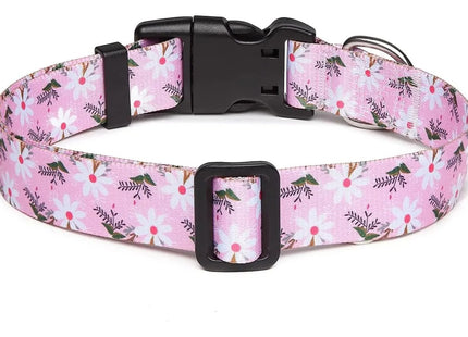 Collar Con Diseños Para Perro