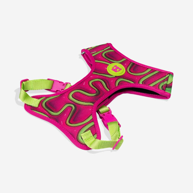 Pechera Zeedog H3d Jelly