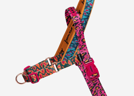 Arnés Anti tiro Zeedog Selva