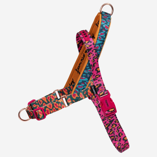 Arnés Anti tiro Zeedog Selva