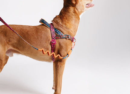 Arnés Anti tiro Zeedog Selva