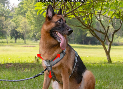 Arnés Antitirones Ajustable Para Perros
